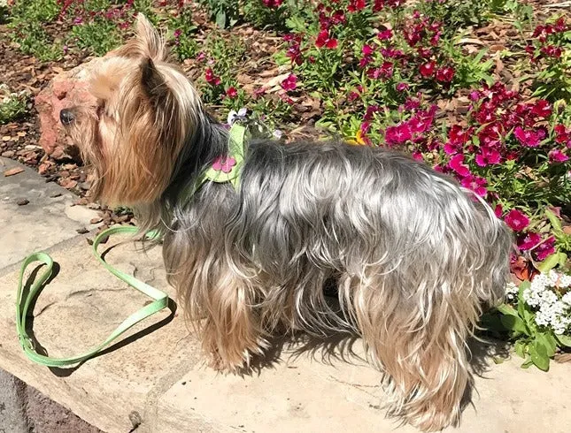 Ellie Flower Leather Dog Step-In Harness