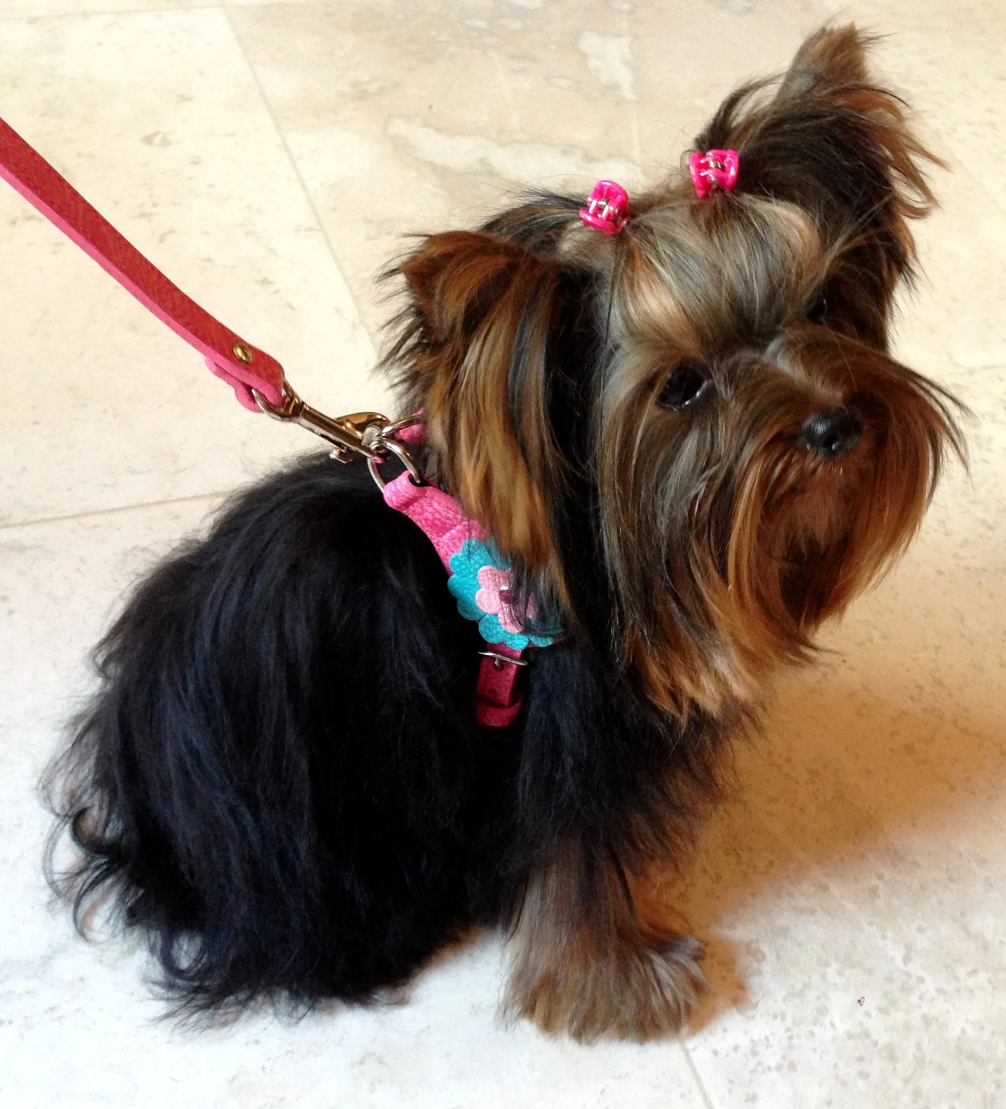 Emma Leather Flower Step In Harness with Crystal on Flower