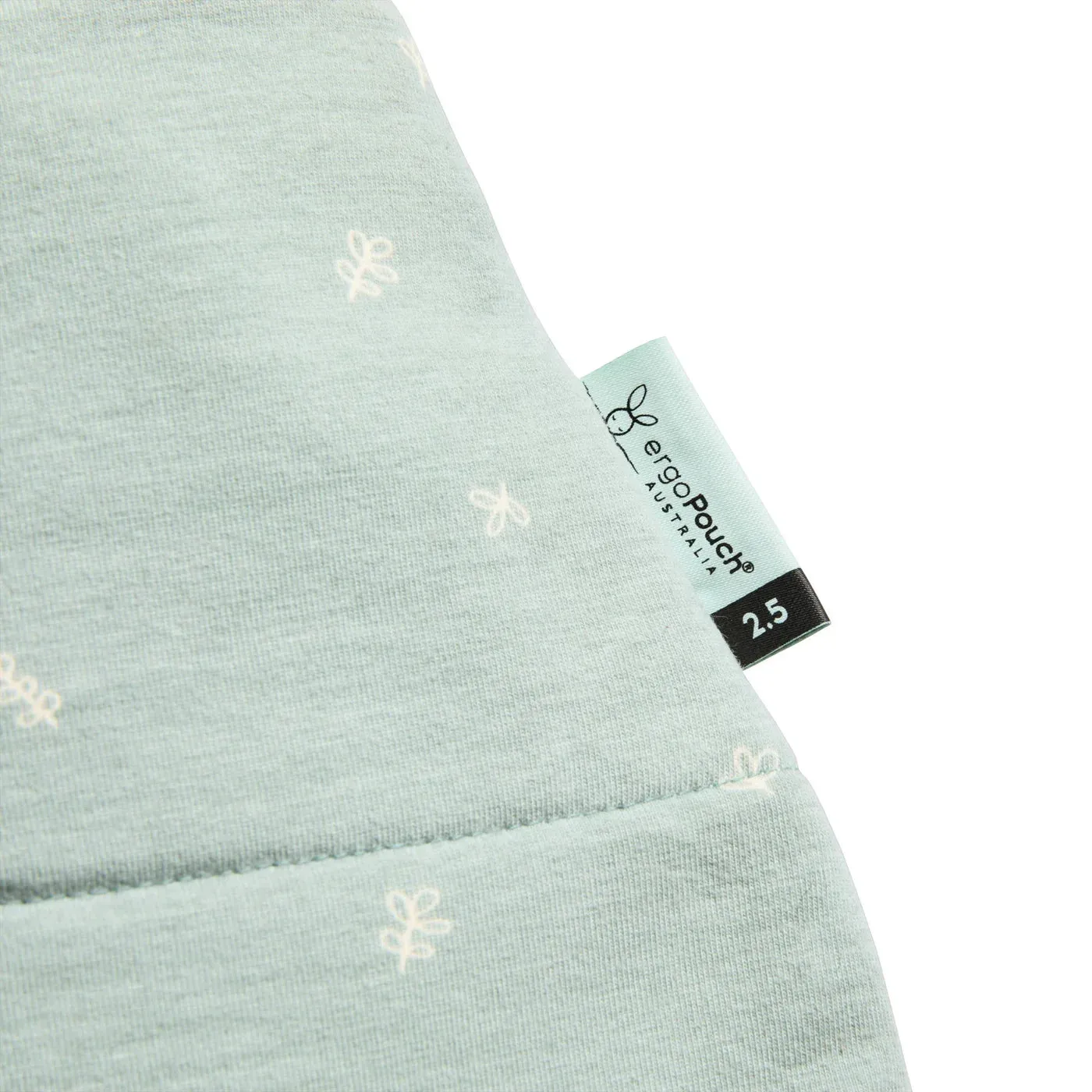 ergoPouch Cocoon Swaddle Bag 2.5tog