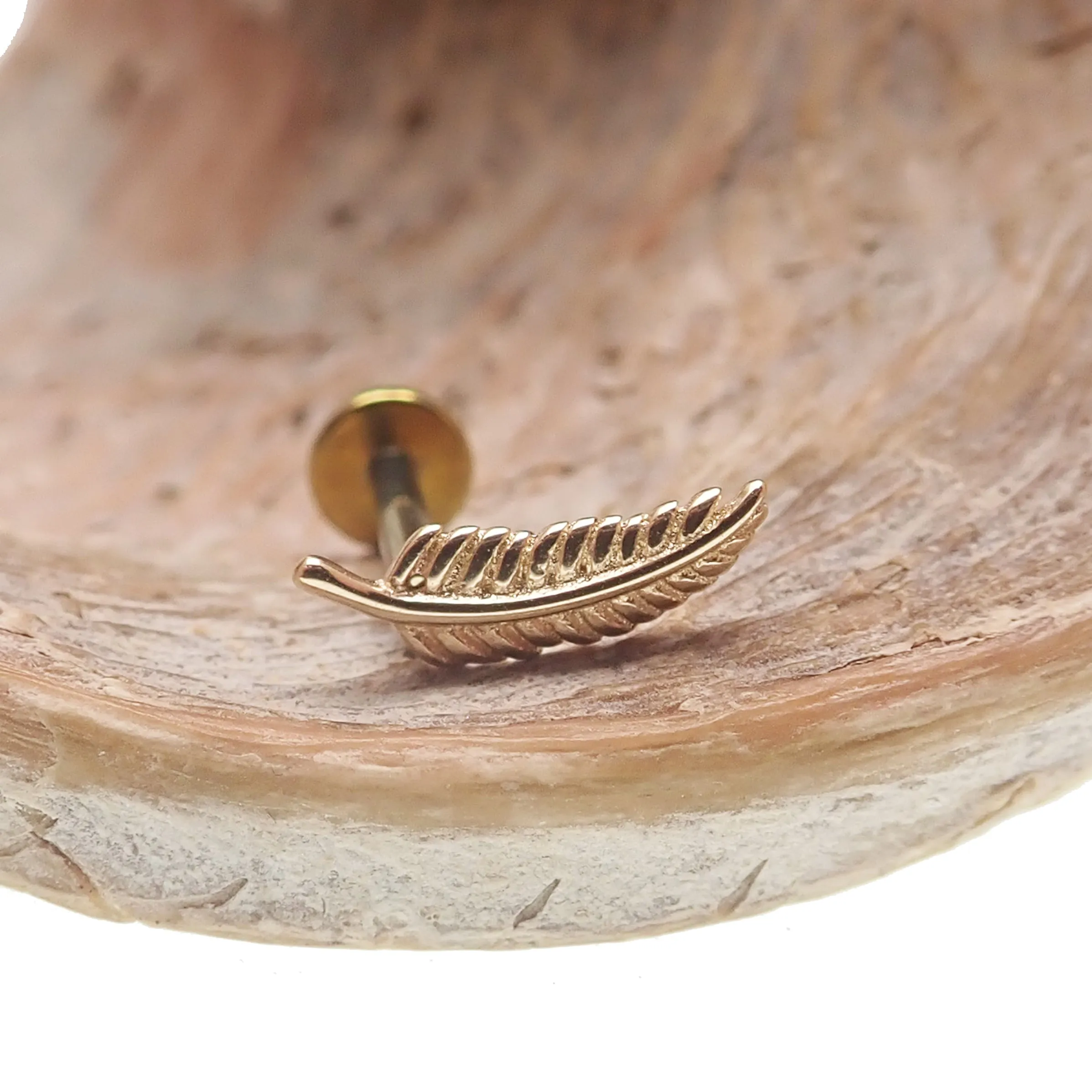Feather 14k Gold with Titanium Flatback 20g, 18g, 16g, 14g