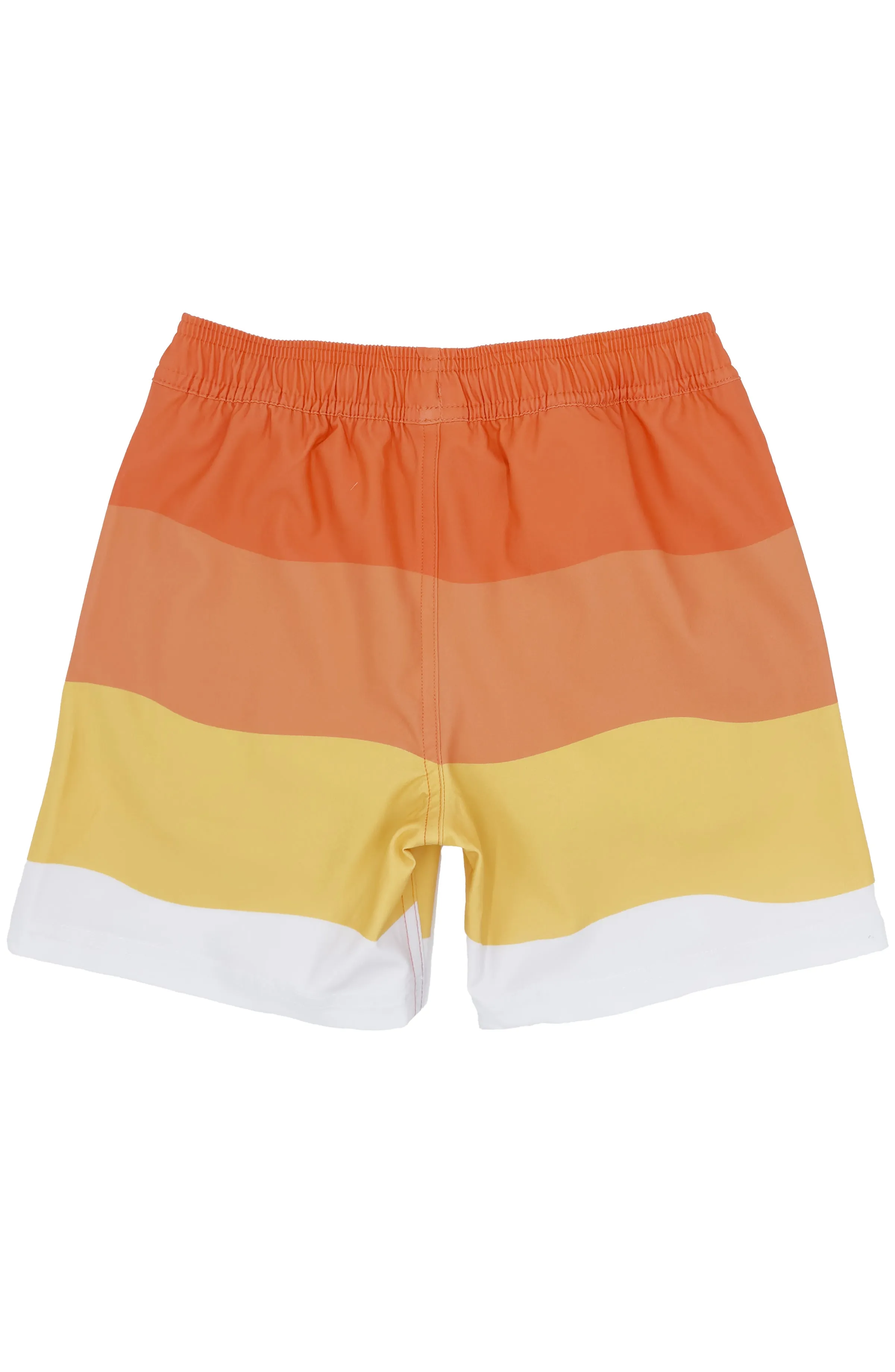 Feather 4 Arrow Wave Stripe Volley Trunk