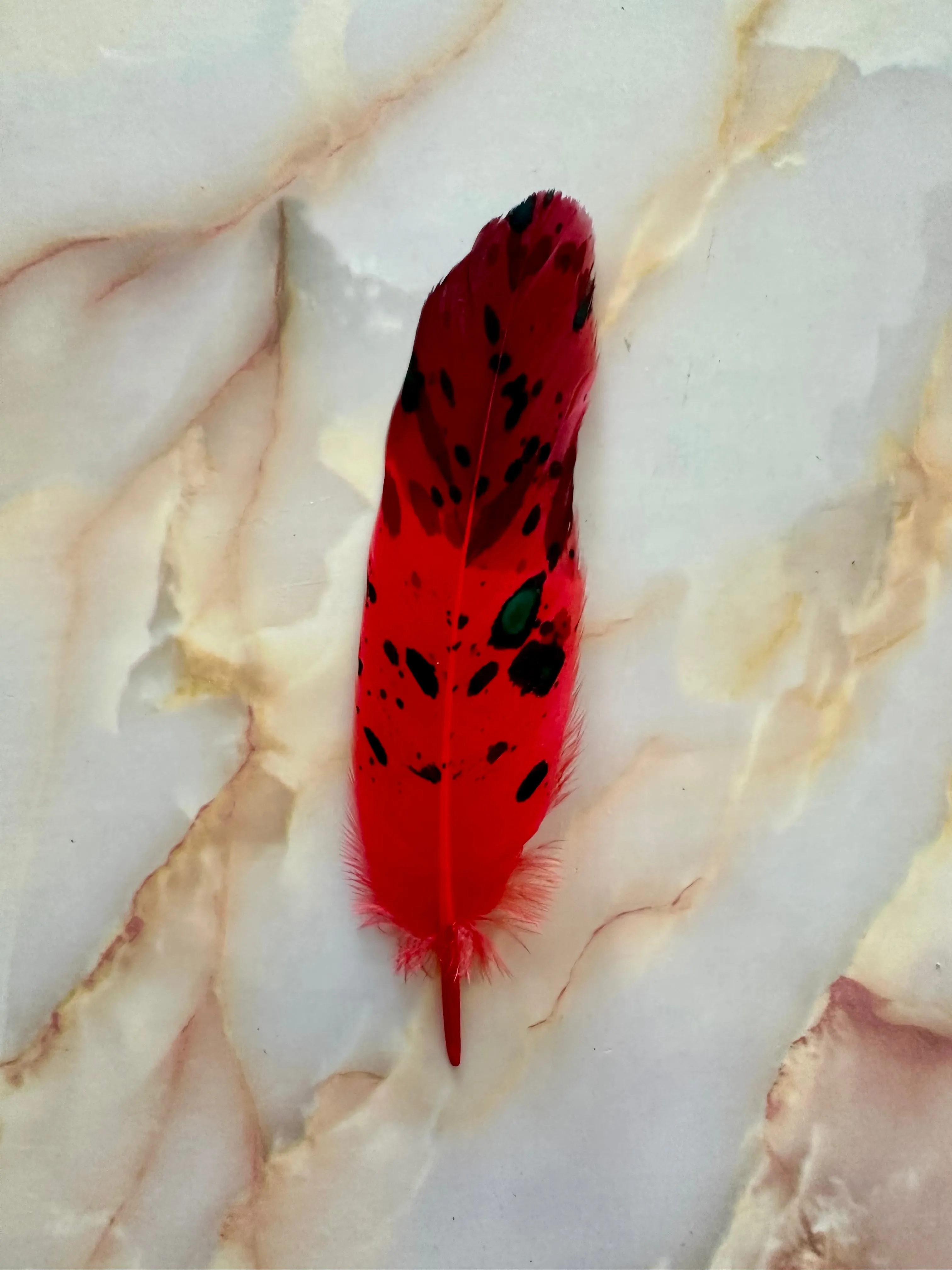 Feather 59