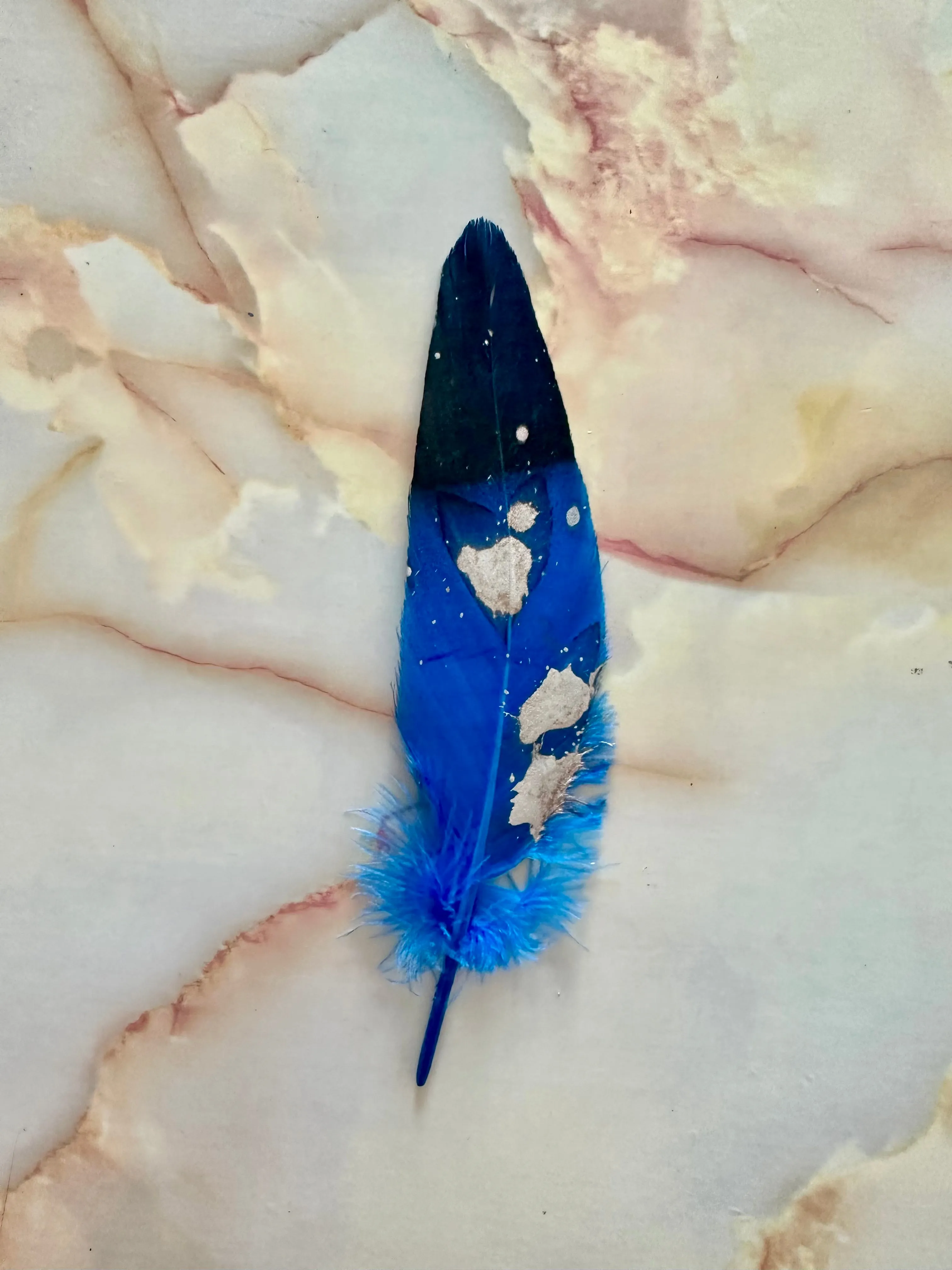 Feather 66