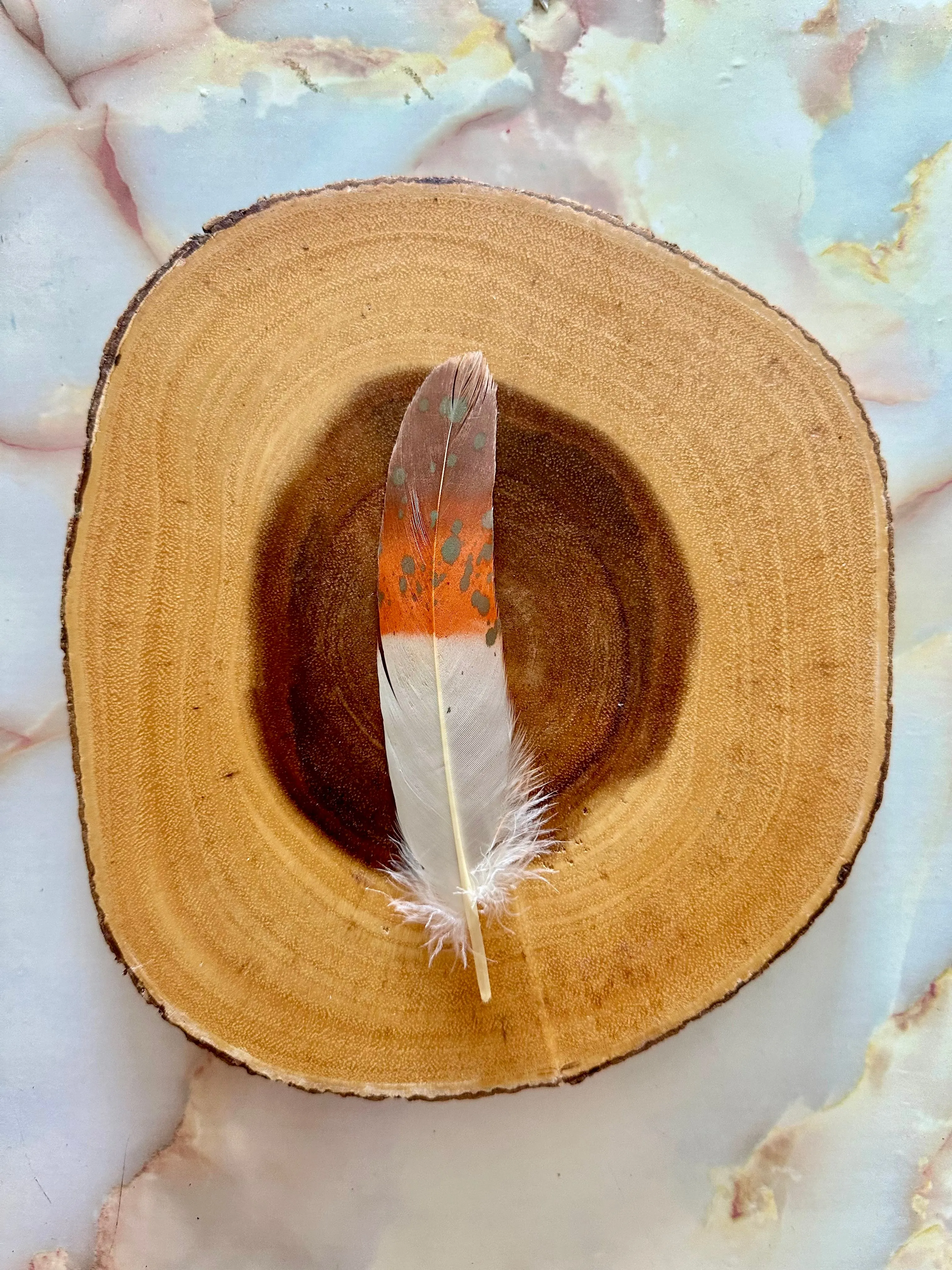 Feather 71