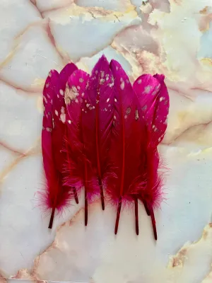 Feather 73