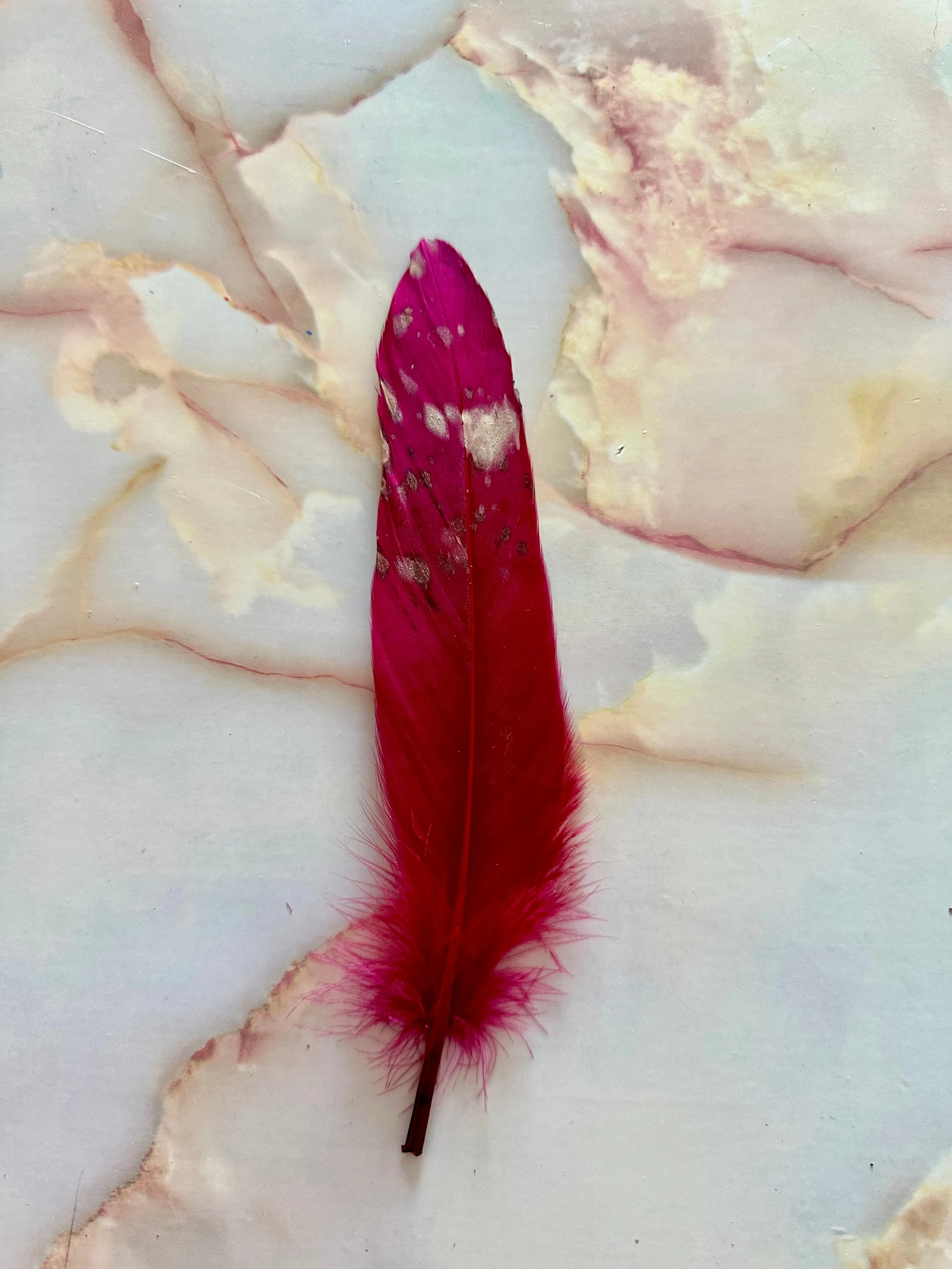 Feather 73