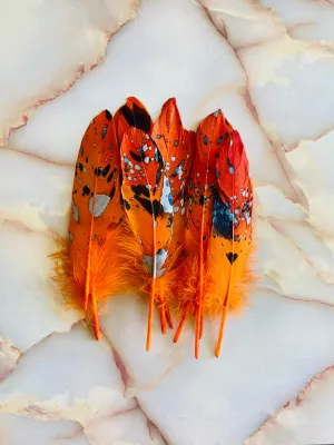 Feather 76