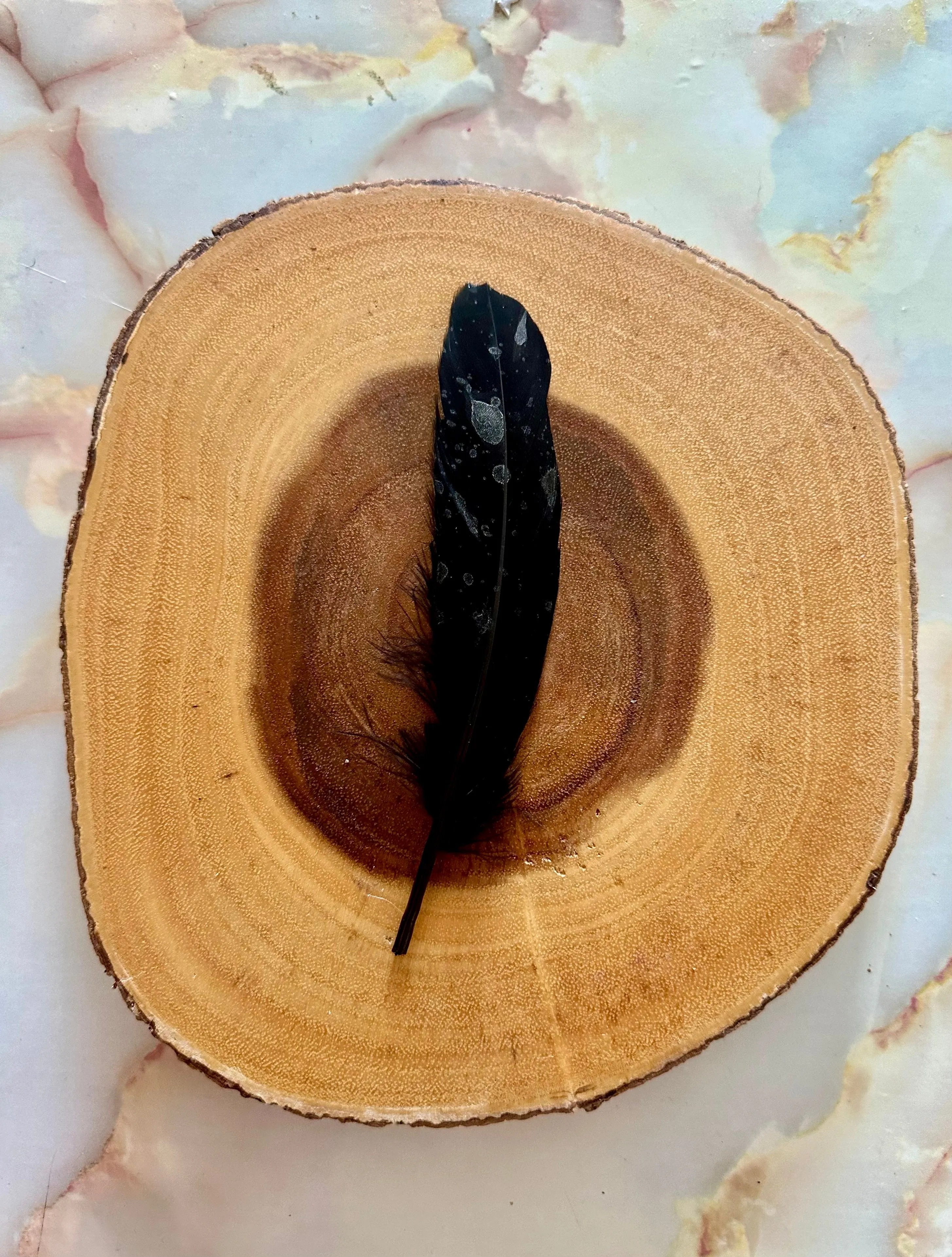 Feather 81