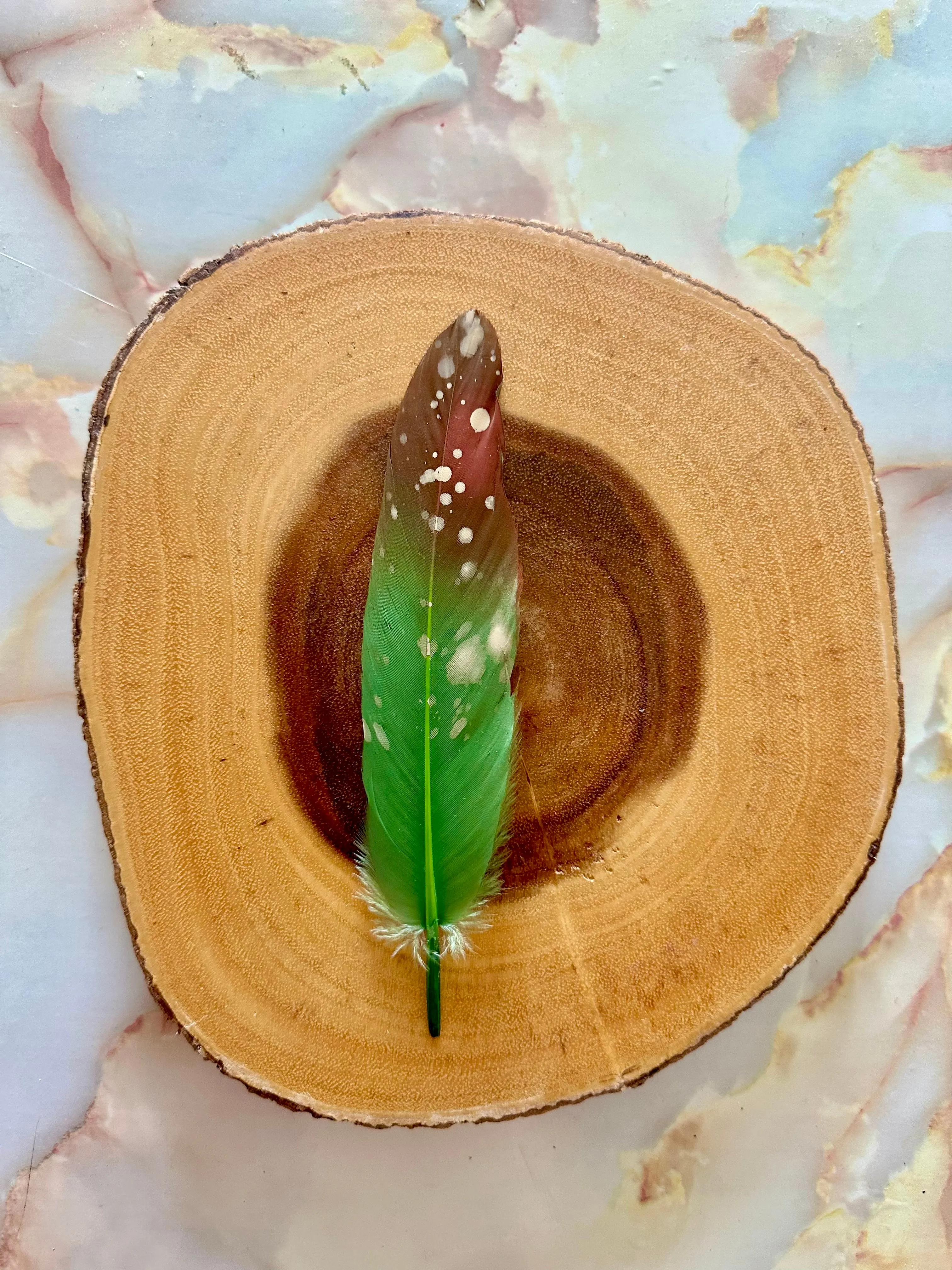 Feather 83