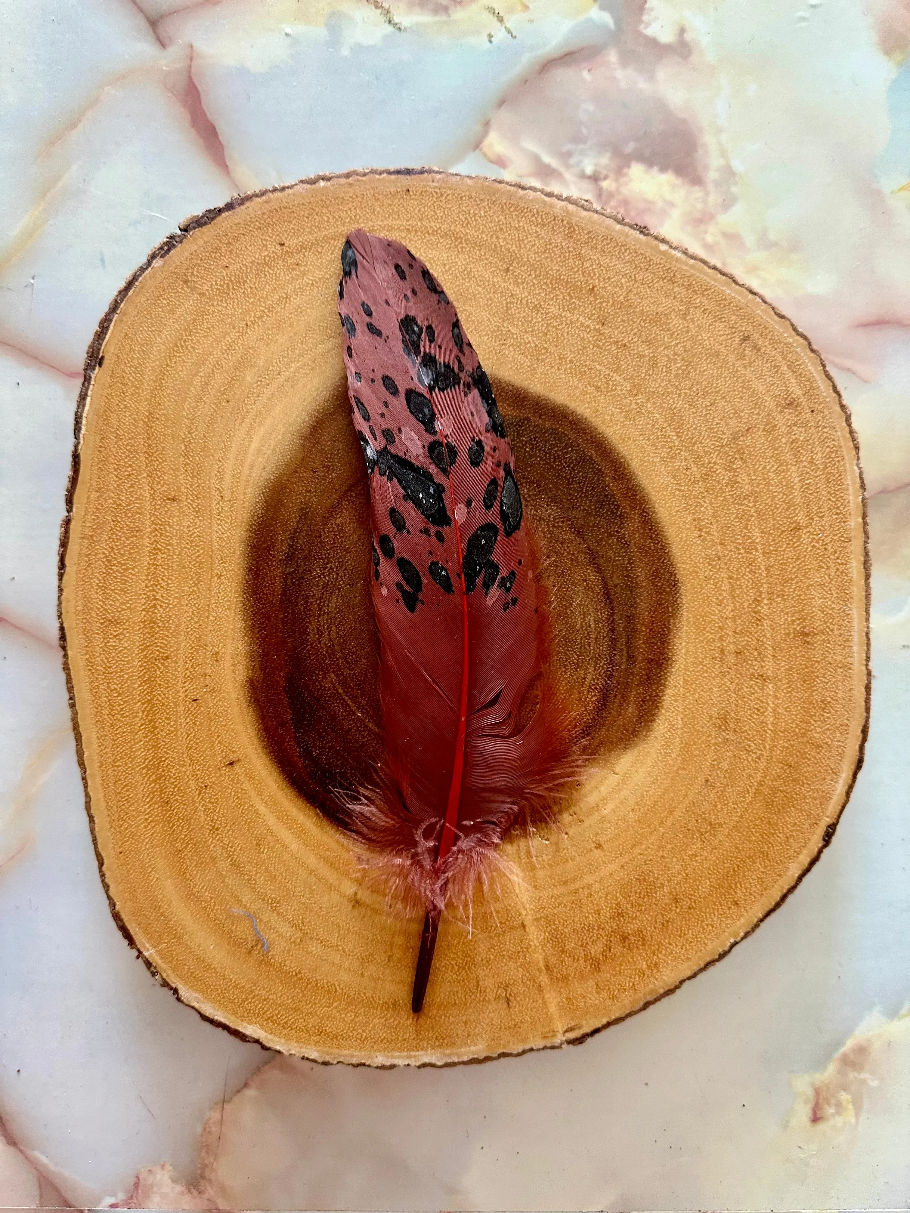Feather 85