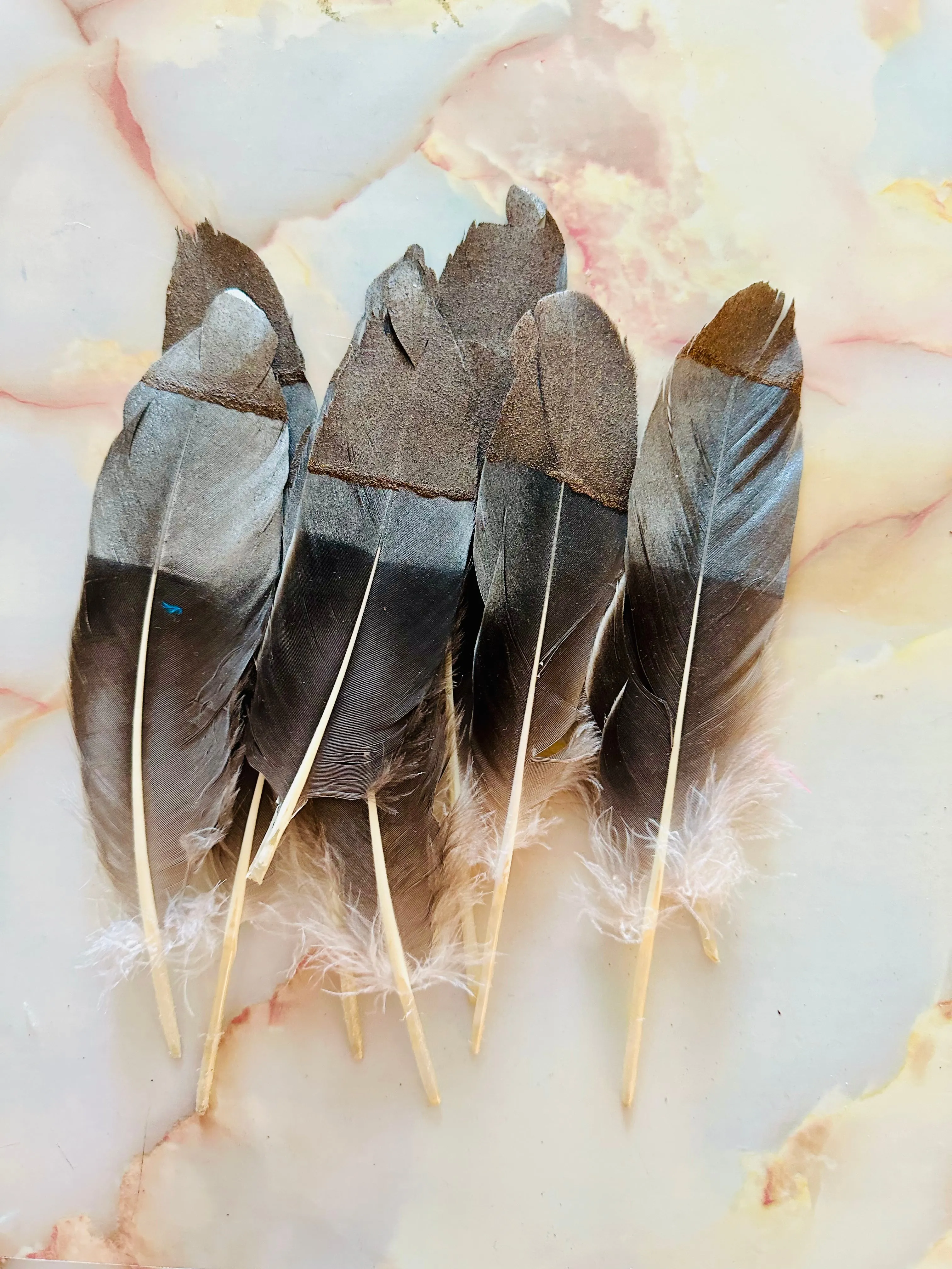Feather 86