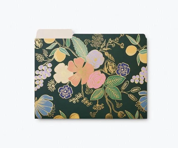 File Folder Set, Collete