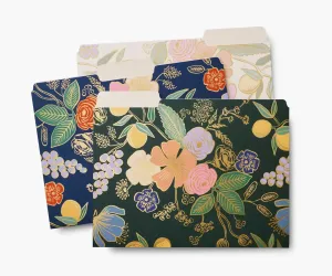 File Folder Set, Collete