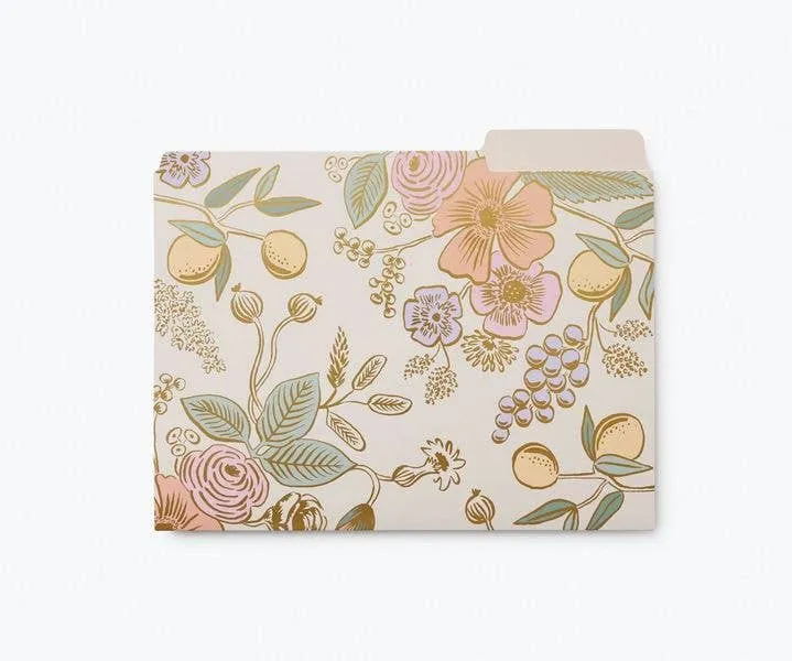 File Folder Set, Collete