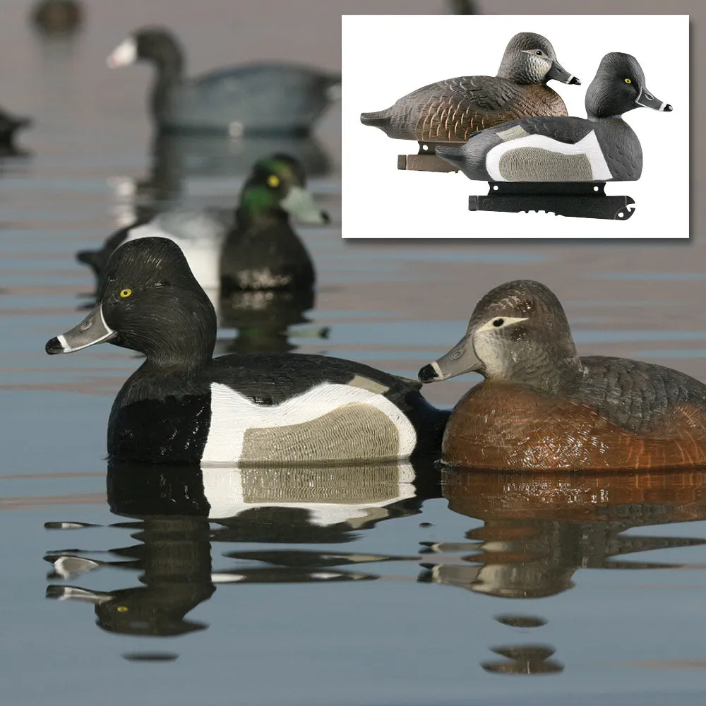 GHG Hunter Series Life Size Ring Neck Duck Decoys