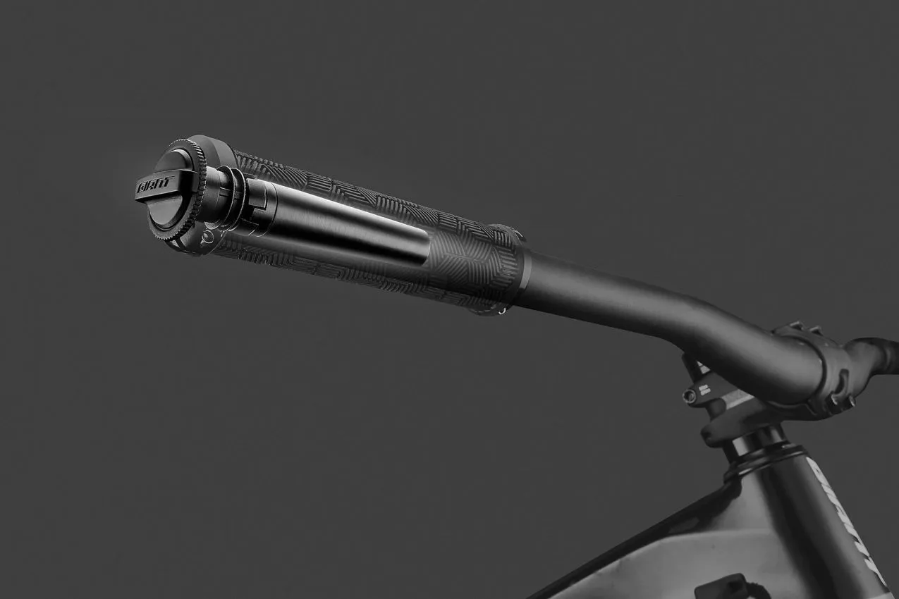 Giant Clutch Bar End Storage
