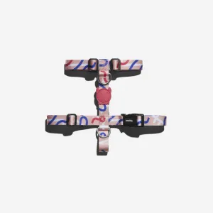 H Harness - Pinna