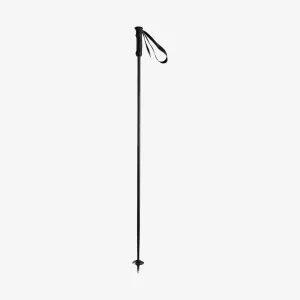 Head Prestige Cloud Carbon Ski Pole