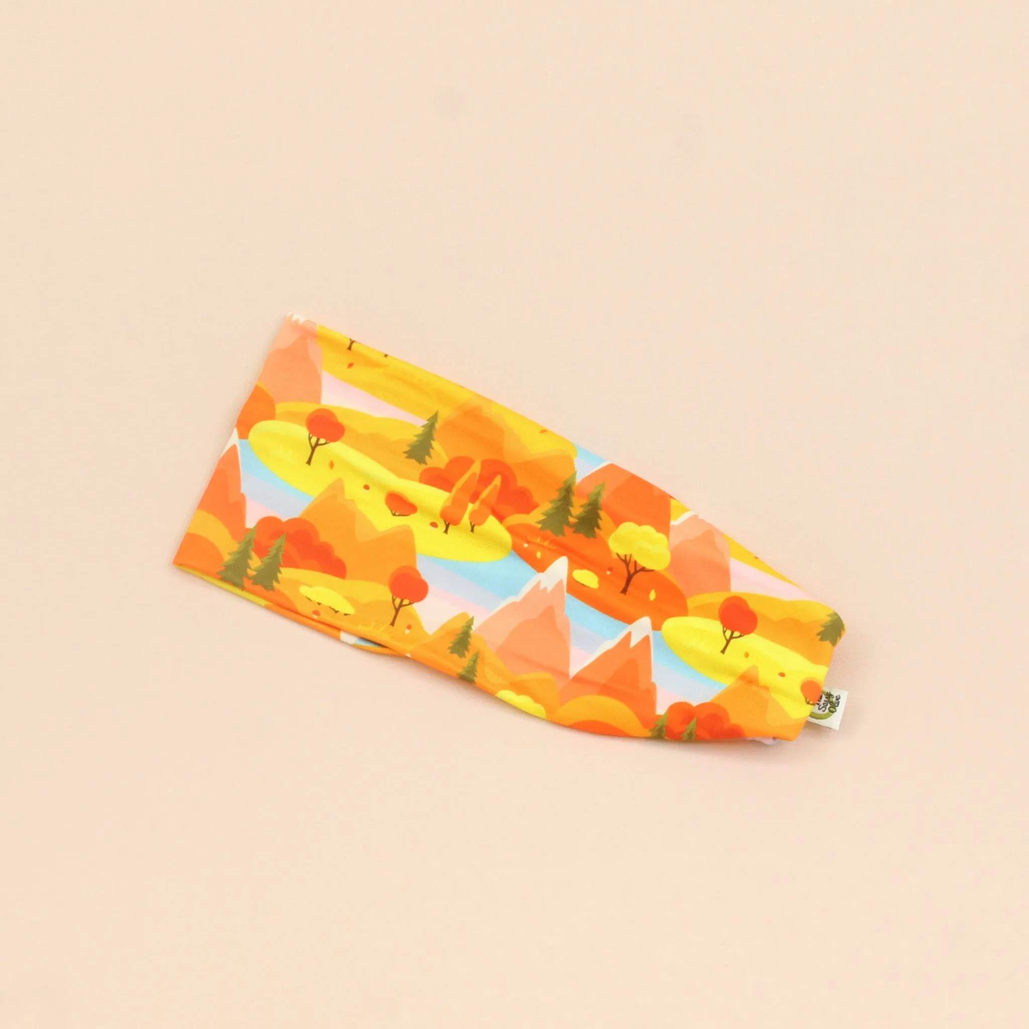 Hidden Valley Stretch Headband
