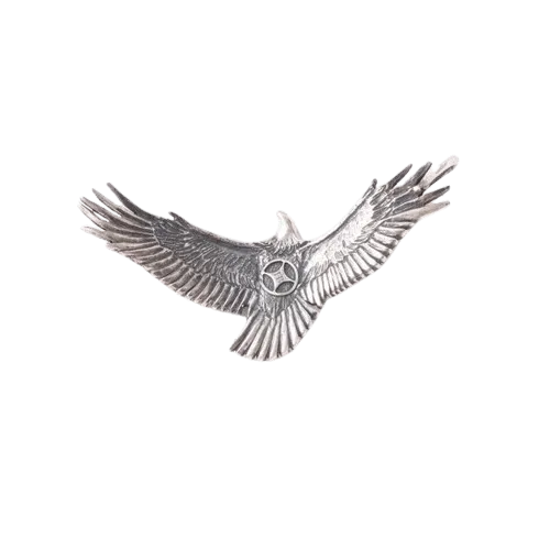 Horizon Blue Sun Shadow Eagle