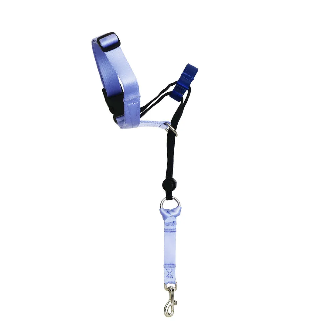 Horizon Halter    Safety Clip