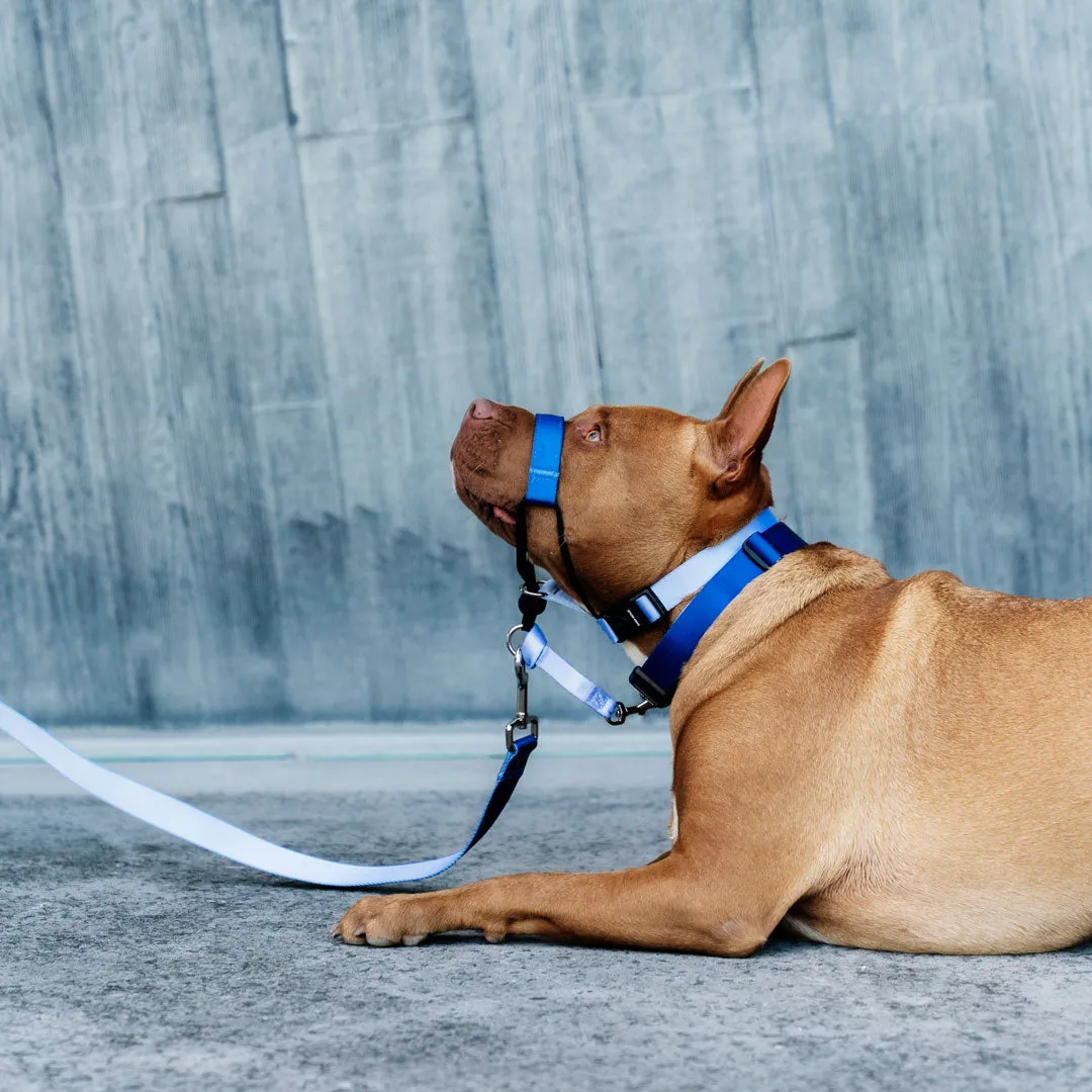 Horizon Halter    Safety Clip