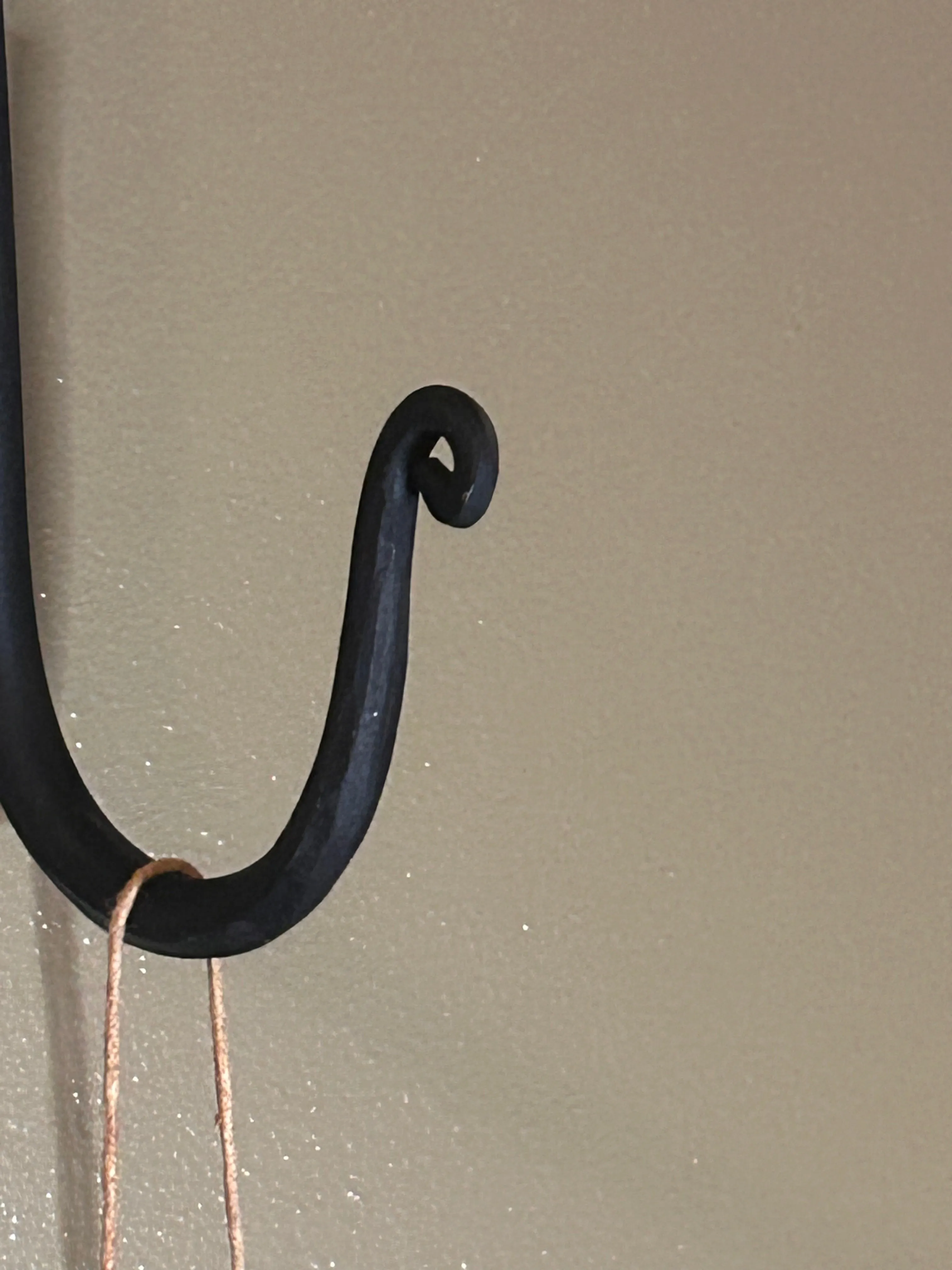 Iron Feather Hook
