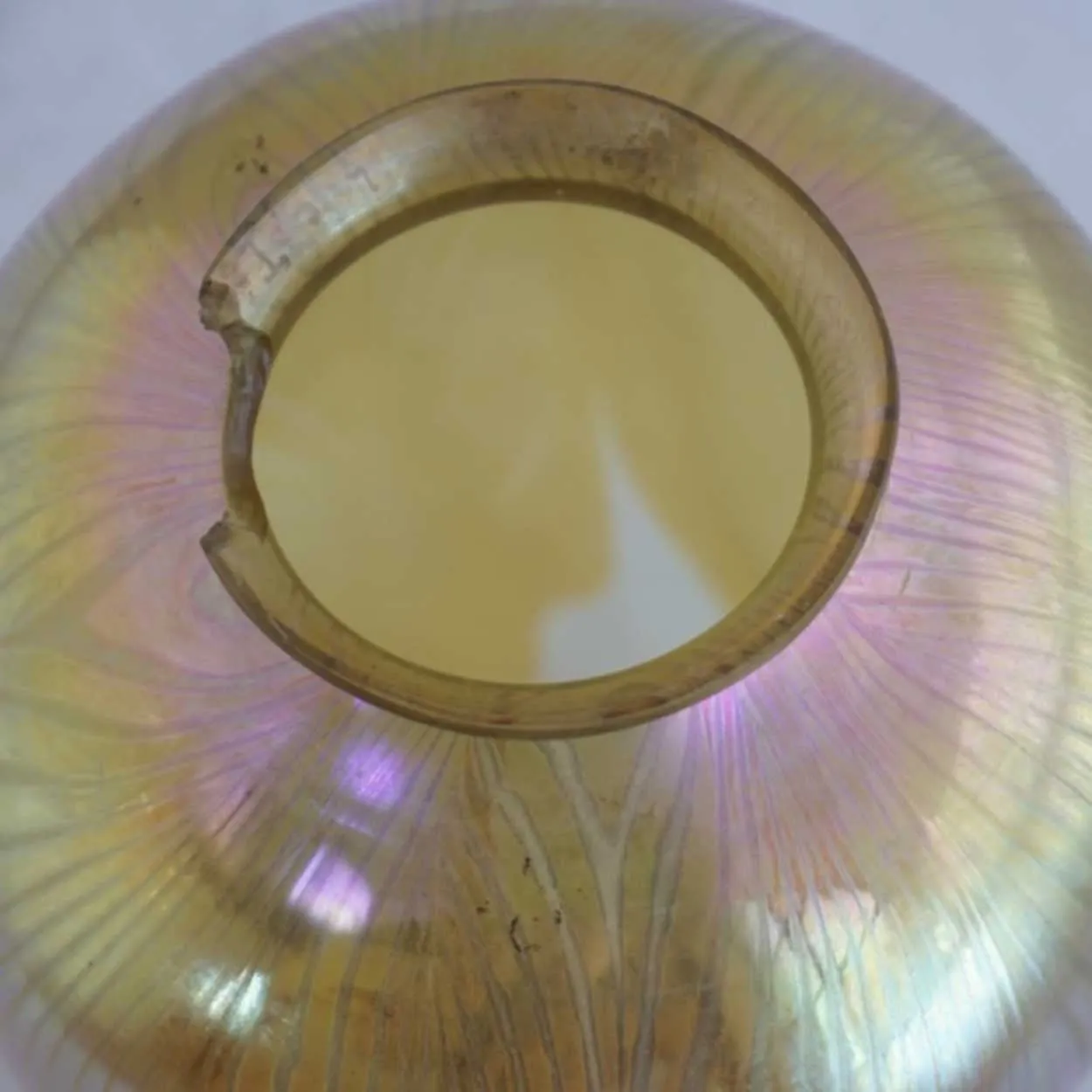 Large American Tiffany Studios LCT Favrile Glass Pulled Feather Lamp Shade