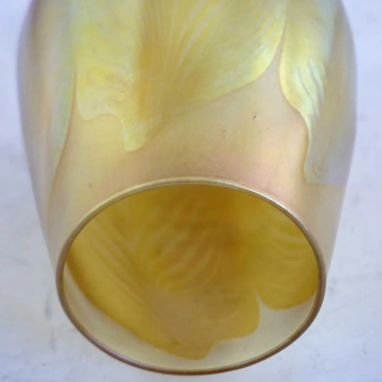 Large American Tiffany Studios LCT Favrile Glass Pulled Feather Lamp Shade