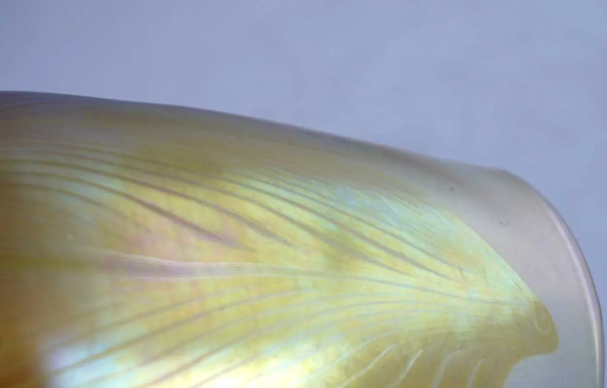 Large American Tiffany Studios LCT Favrile Glass Pulled Feather Lamp Shade