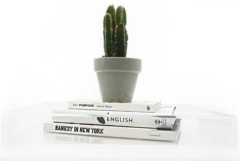 Large Tabletop Acrylic Tray