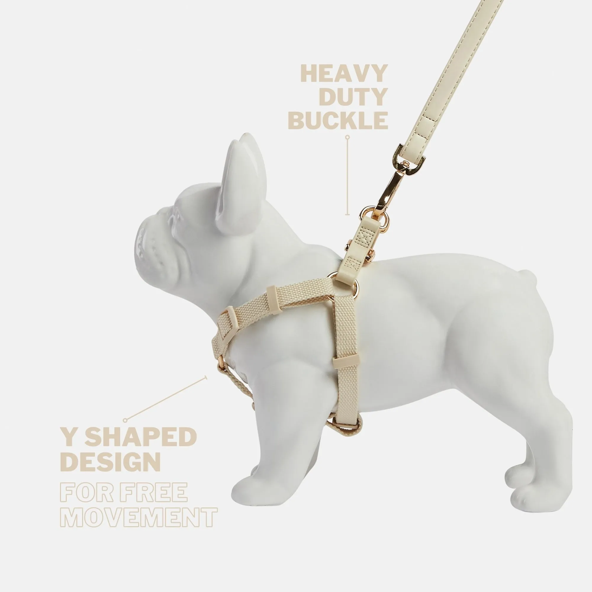 Light Ivory Dog Harness & Lead Set