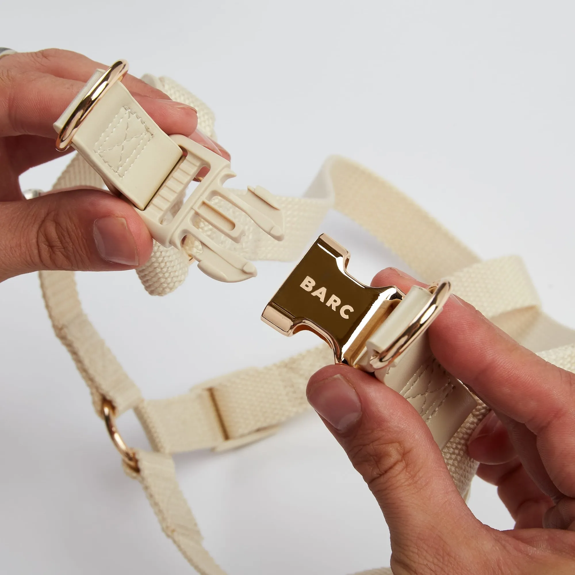 Light Ivory Dog Harness & Lead Set