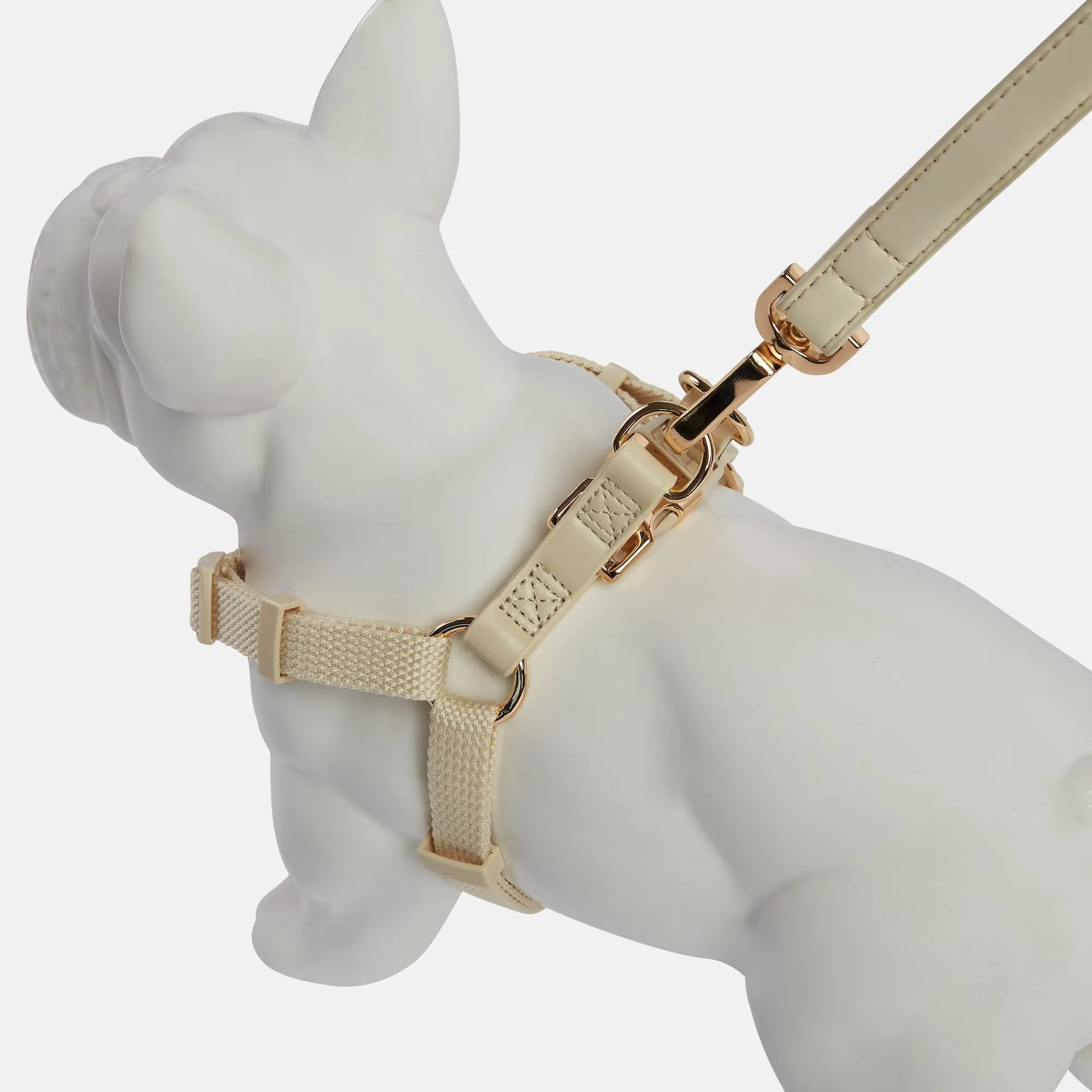 Light Ivory Dog Harness & Lead Set