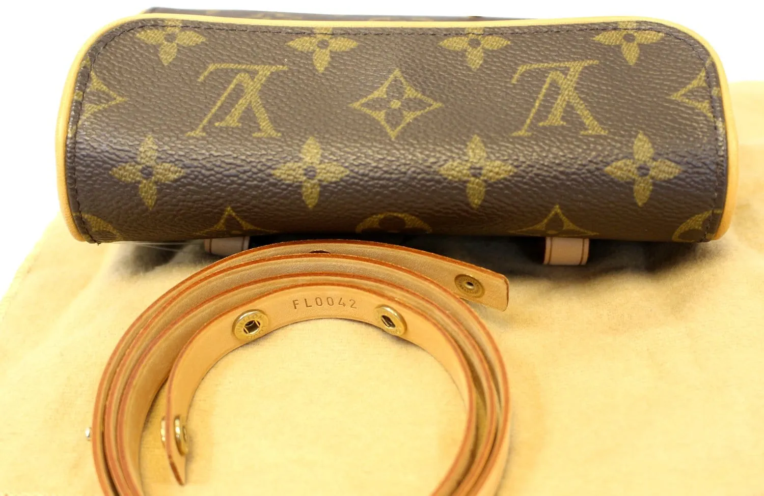 LOUIS VUITTON Monogram Canvas Pochette Florentine Bag