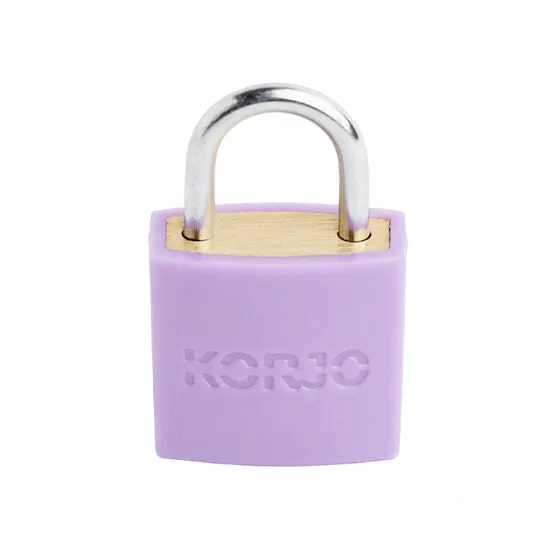 Luggage Locks (purple)