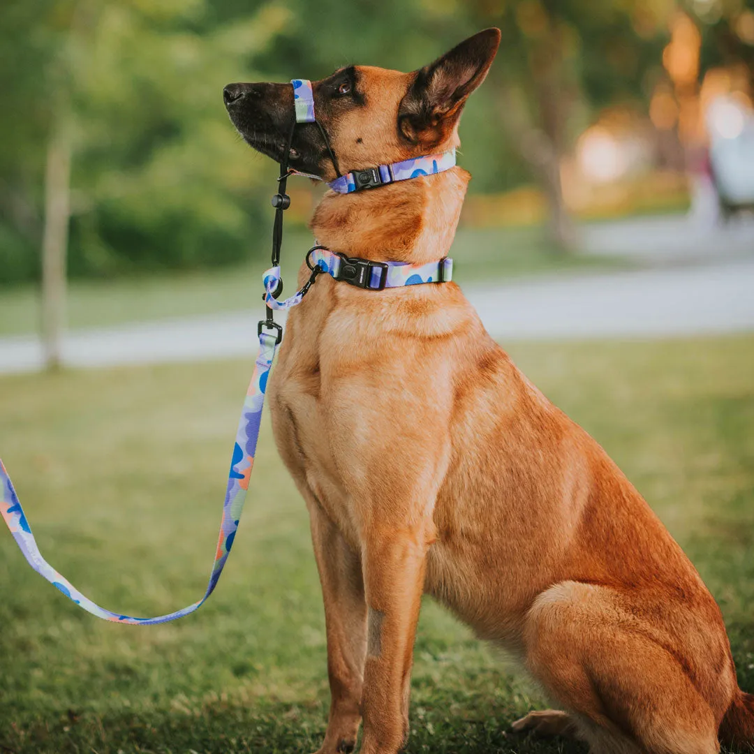 Luna Halter   Safety Clip