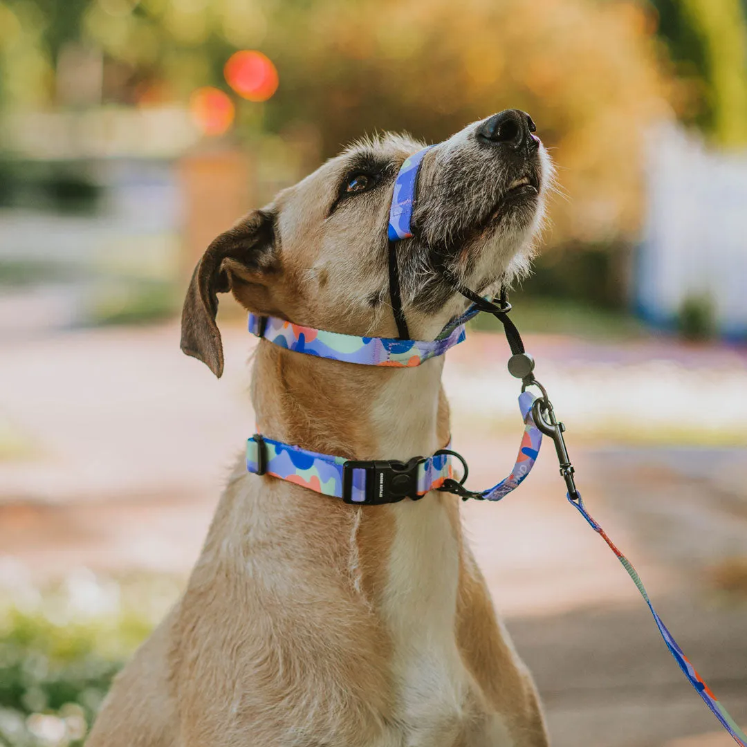 Luna Halter   Safety Clip