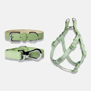 Lush Green Dog Collar, Harness & Lead Set