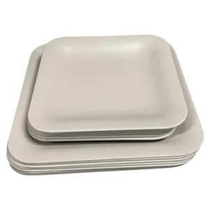 Matte Beige Plates (Set of 10)