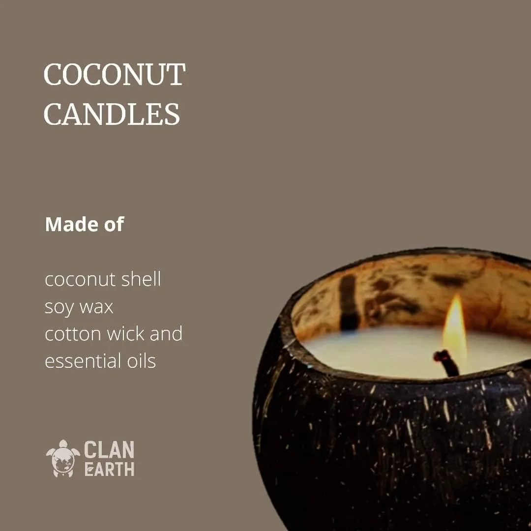 Minimalist Vegan Wallet Festive Gift Box - Dodo Wallet & Soy Wax Coconut Shell Candle