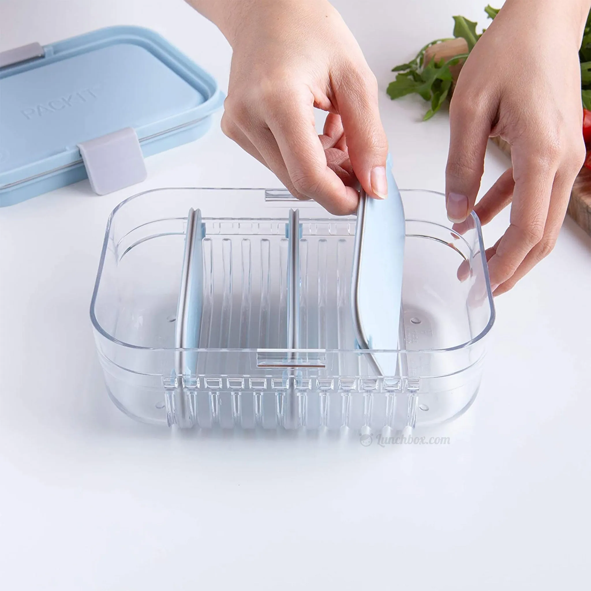 Mod Bento Box - Ice Blue