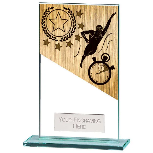 Mustang Swimming Jade Glass Award