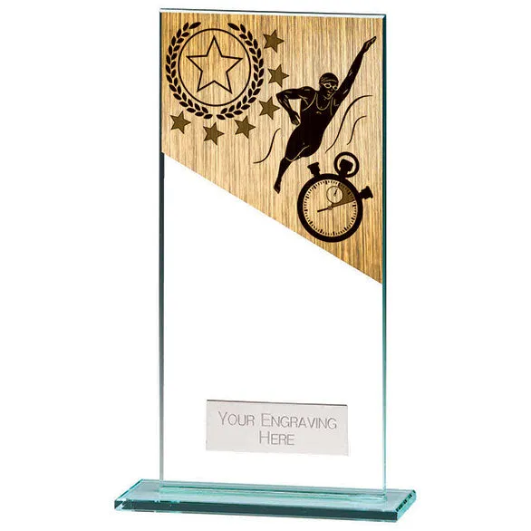 Mustang Swimming Jade Glass Award
