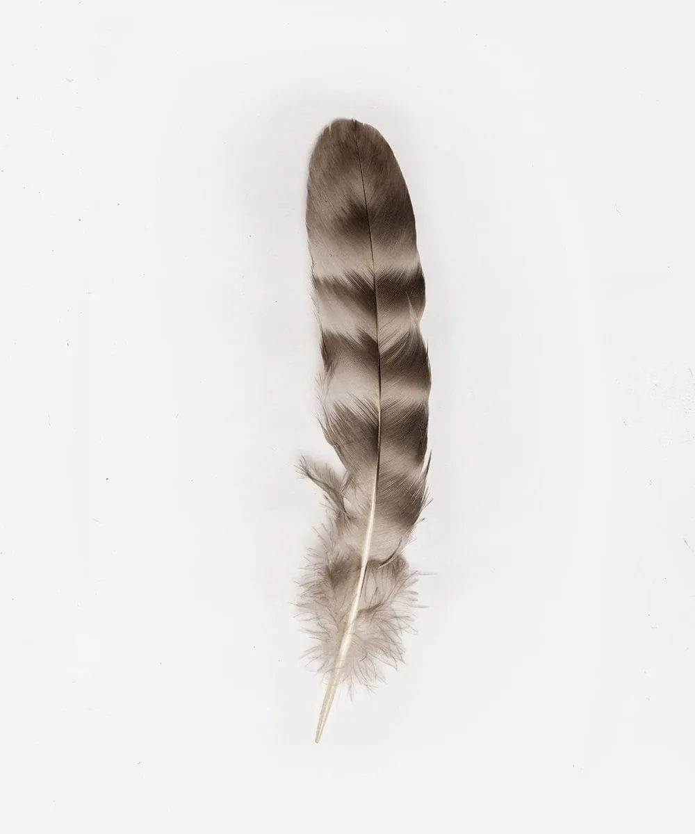 Natural Grey Chinchilla Hat Feather