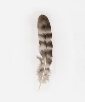 Natural Grey Chinchilla Hat Feather