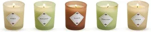 Nature Walk Votive Box