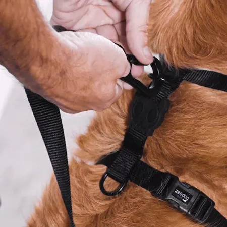 Neopro H Harness - Bubblegum
