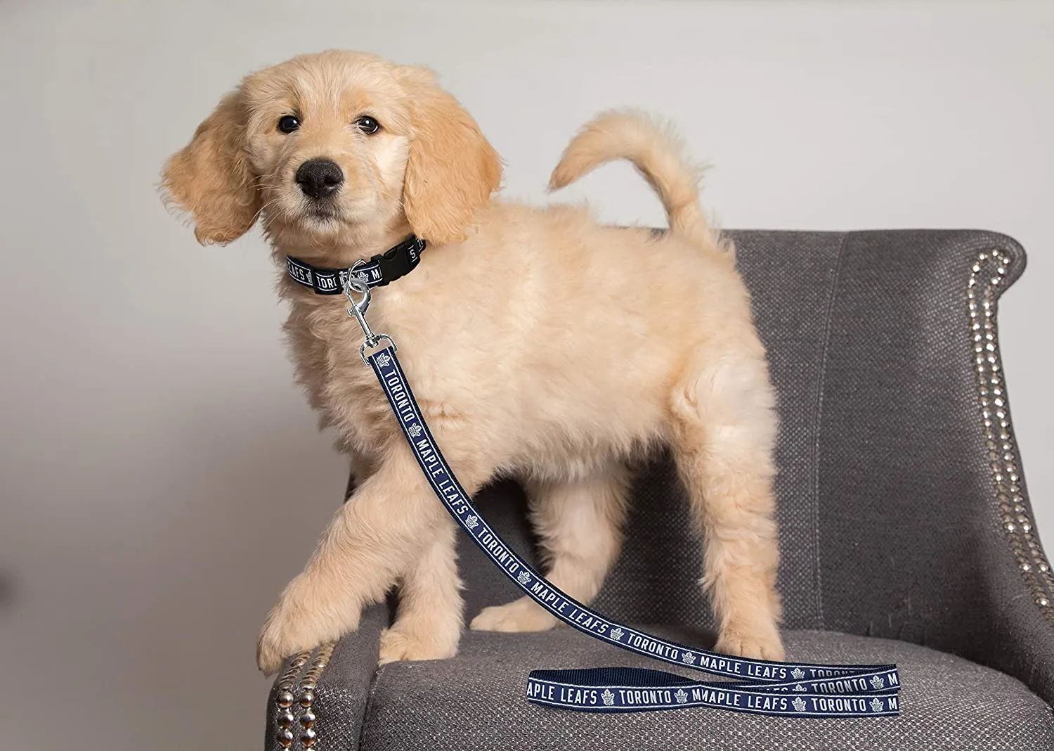 NHL DOG LEASH