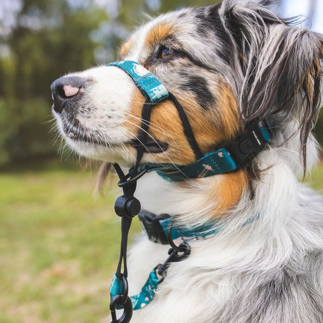 Nova Halter    Safety Clip